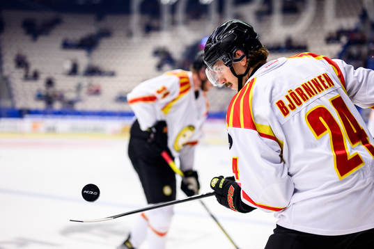 Brynäs Hannes Björninen