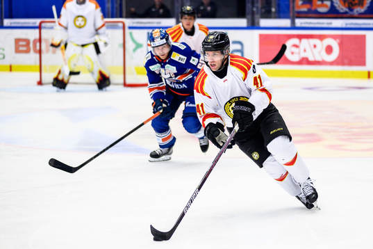 Brynäs Greg Scott