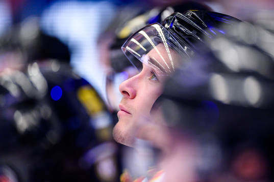 Brynäs Dmytro Timashov