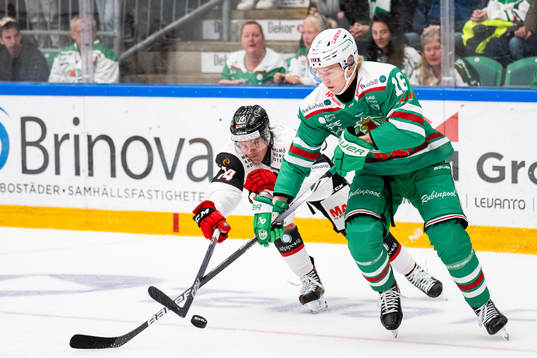Malmö Redhawks Carl-Johan Lerby och Rögles Theodor