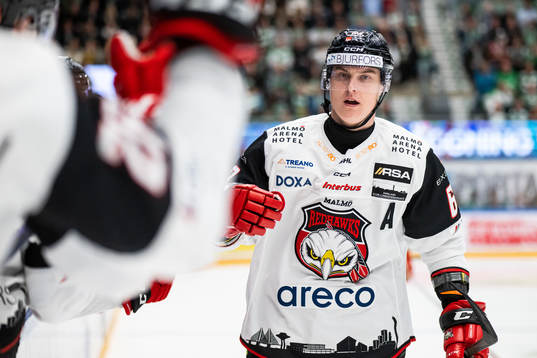 Malmö Redhawks Fredrik Händemark jublar