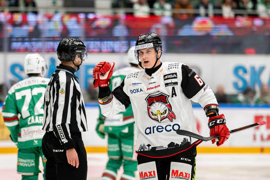 Malmö Redhawks Fredrik Händemark jublar