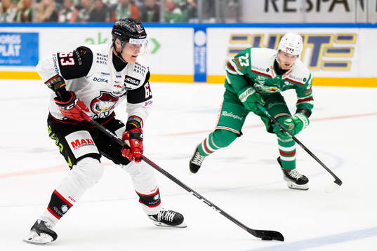 Malmö Redhawks Fredrik Händemark