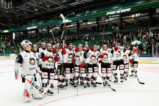 Malmö Redhawks spelare jublar