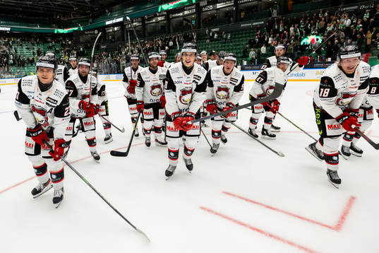 Malmö Redhawks spelare jublar