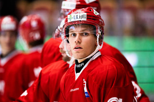 Timrås Anton Wedin