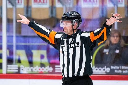 Domare Johan Magnusson