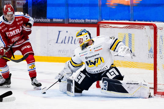 HV71s målvakt Jonas Gunnarsson