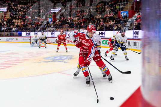 Timrås Robin Alvarez