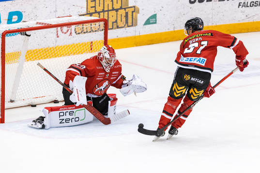 Vita Hästens målvakt Adam Ohre och Eric Borg