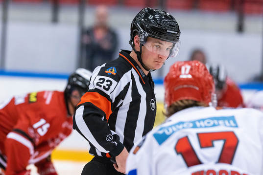 Domare Alexander Österberg