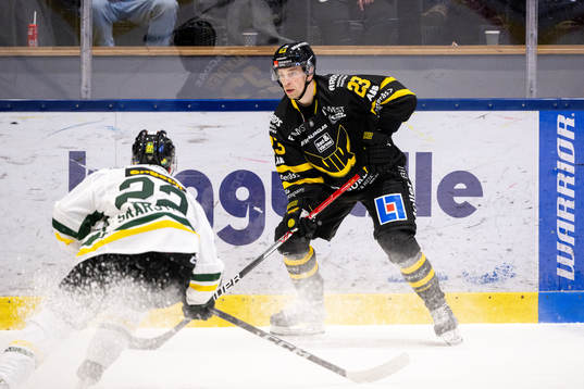 Västerås Sakari  Salminen