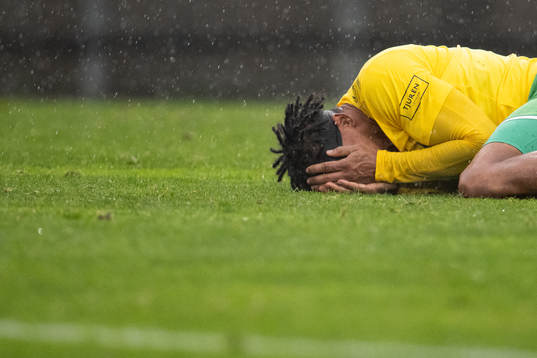 Dalkurds Fabio Nicolas Dixon