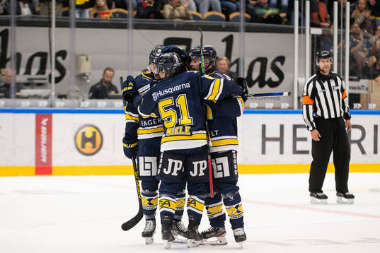 HV71s spelare jublar