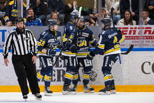 HV71s spelare jublar