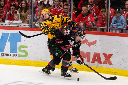 Skellefteås Jonathan Pudas och Örebros Petrus Palmu