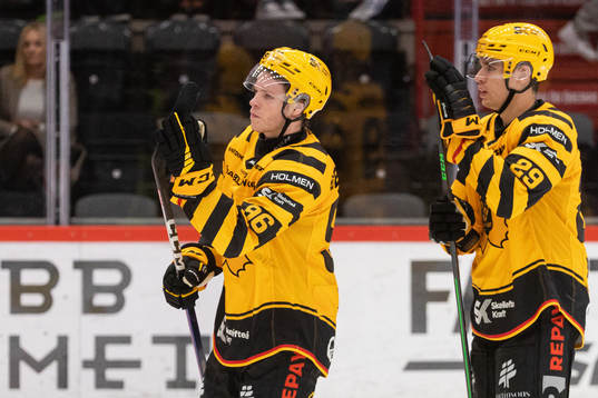 Skellefteås Rickard Hugg deppar