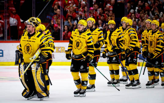 Skellefteås målvakt Gustaf Lindvall deppar