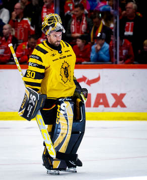Skellefteås målvakt Gustaf Lindvall deppar