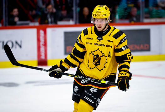 Skellefteås Jonathan Pudas deppar