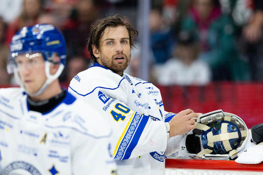 Leksands målvakt Mantas Armalis