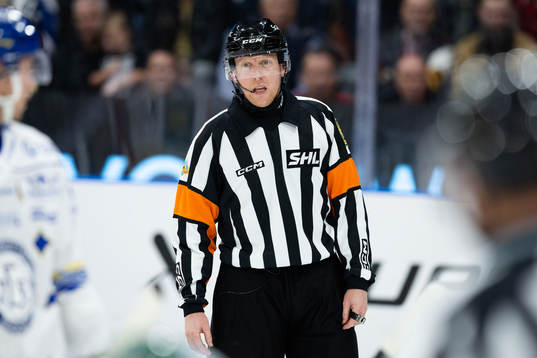Domare Mikael Holm