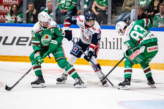 Rögles Kim Rosdahl  och Riley Sheen kamp med Linköpings