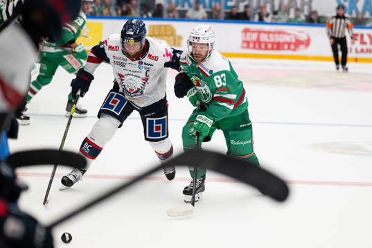 Linköpings Jonas Junland och Rögles Riley Sheen