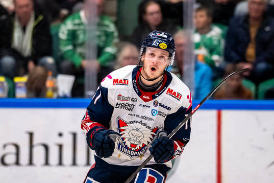 Linköpings Henrik Törnqvist jublar