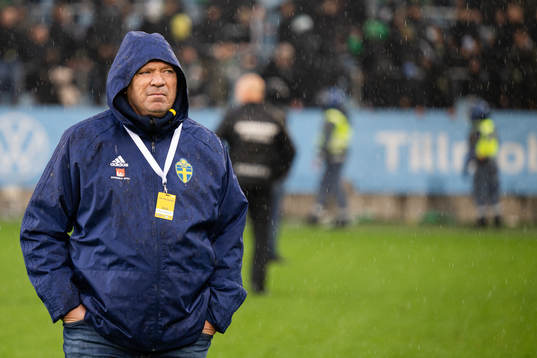 Martin Fredman, Säkerhetschef Svenska Fotbollsförbundet