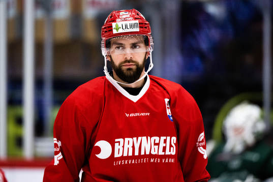 Timrås Robin Hanzl