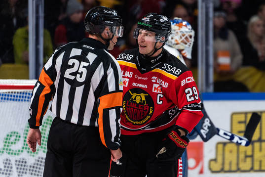 Domare Tobias Björk och Luleås Erik Gustafsson