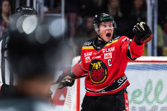 Luleås Erik Gustafsson i diskussion med domare