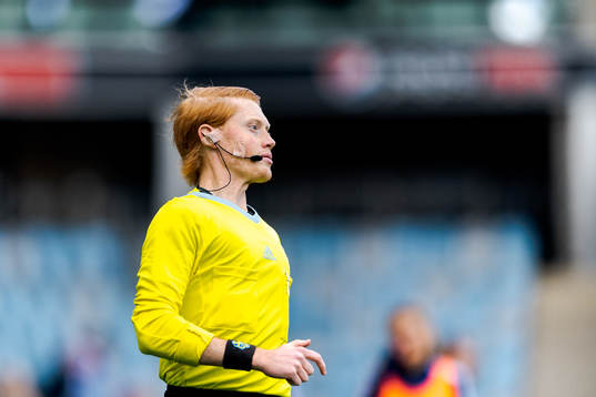 Domare Casper Ellervik