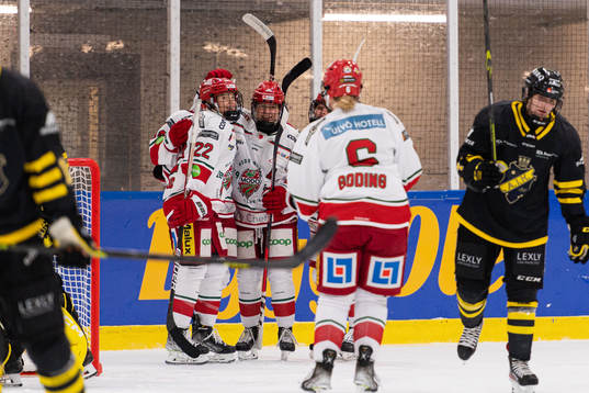 Bläddra bland fler bilder av Ishockey, SDHL, AIK - Modo