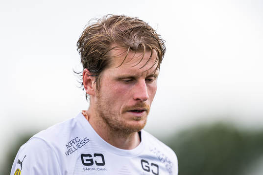 Häckens Erik Friberg