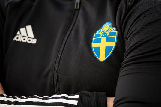 Svenska Fotbollförbundets emblem på en domartröja