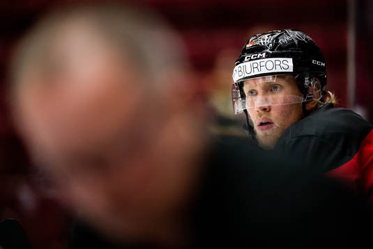 Malmö Redhawks Marcus Sylvegård