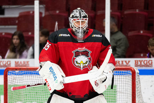 Malmö Redhawks målvakt Adam Werner