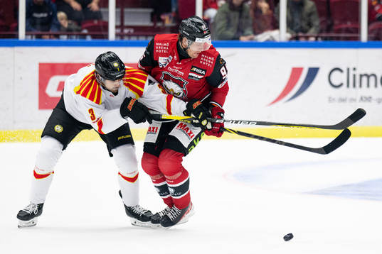 Brynäs Niklas Friman och Malmö Redhawks Carl Persson