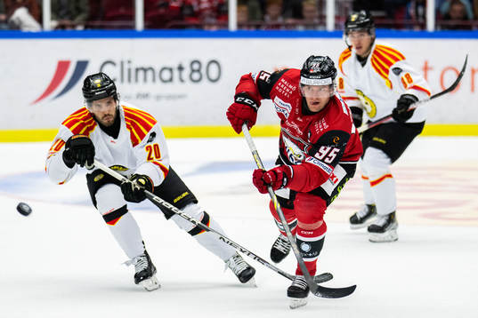 Brynäs Oula Palve och Malmö Redhawks Carl Persson