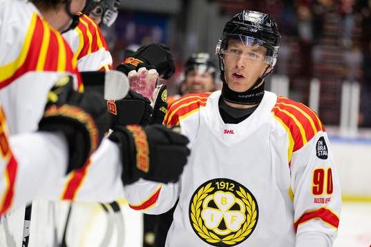 Brynäs David Sklenicka jublar