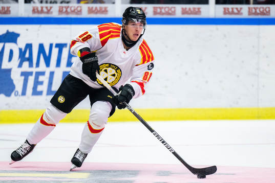 Brynäs Dmytro Timashov