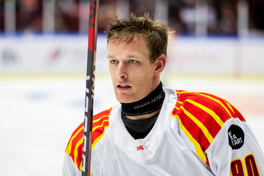 Brynäs David Sklenicka