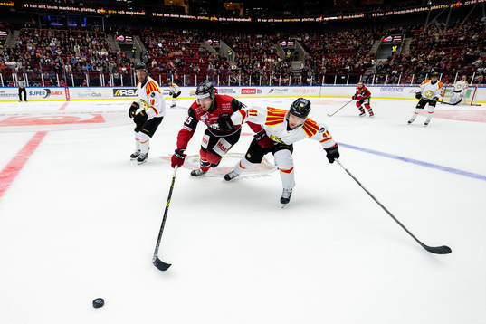 Malmö Redhawks Carl Persson och Brynäs Greg Scott