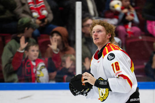 Brynäs Oskar Kvist