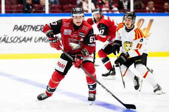 Malmö Redhawks Fredrik Händemark