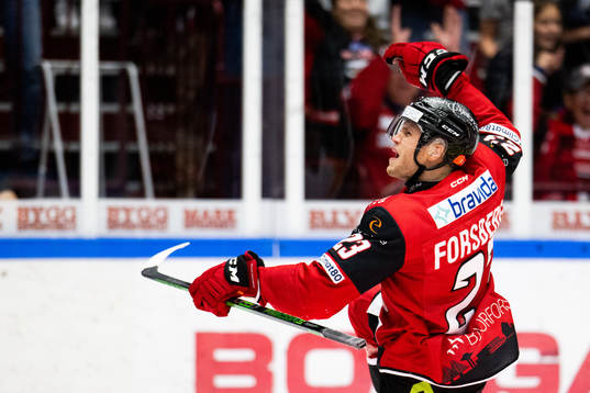 Malmö Redhawks Christoffer Forsberg jublar