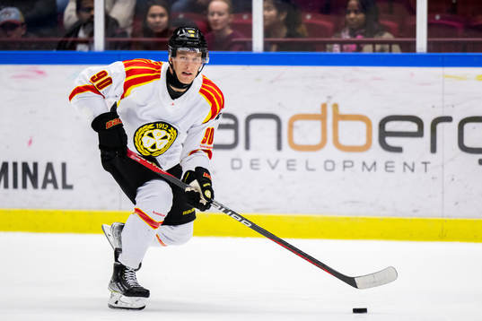 Brynäs David Sklenicka