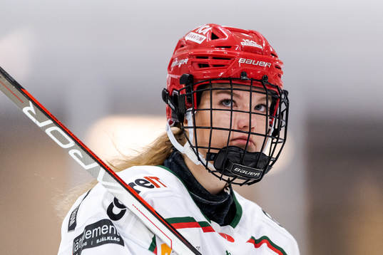 Modos Ebba Hedqvist